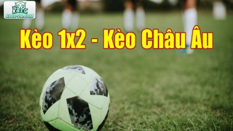 Cách Đọc Kèo Bóng Đá Dễ Hiểu Dành Cho Tân Cược Thủ K8CC 2 Hướng dẫn đọc kèo châu Âu trong tích tắc