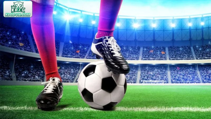 Vòng 1/8 Là Gì - Chi Tiết Đấu Loại Trực Tiếp Cùng K8CC 1 Thắc mắc quen thuộc vòng 1/8 là gì