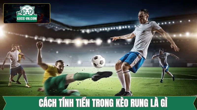 Kèo Rung Là Gì? Thông Tin Cần Biết Khi Cá Độ Tại K8cc 3 Cách tính tiền thắng khi cá cược Running