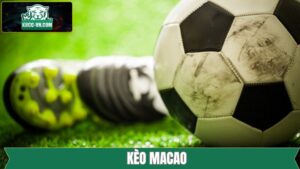 Kèo Macao - Hình Thức Cá Độ Thú Vị Cho Hội Viên Tại K8CC