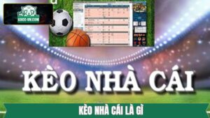 Kèo Nhà Cái Là Gì? Tập Hợp Những Tỷ Lệ Phổ Biến Từ K8CC