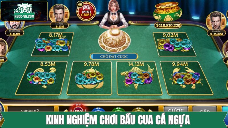 Mẹo chơi bầu cua cá ngựa nên phân bổ vốn phù hợp 