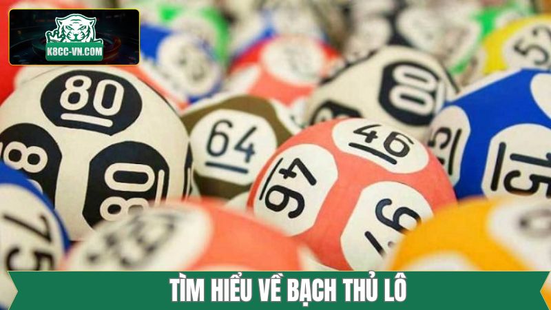 Bạch Thủ Lô - Phương Pháp Soi Cầu Bất Bại Từ Cao Thủ K8cc 1 Khái quát về thuật ngữ bạch thủ lô