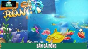 Bắn Cá Rồng Hấp Dẫn Giải Trí Cao Trao Ngay Thưởng Lớn Tại K8CC